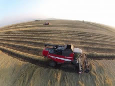 rubber track for tractor