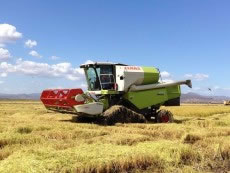 rubber track for tractor