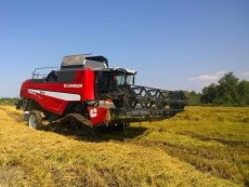 rubber track for tractor